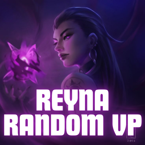 REYNA RADNOM VP